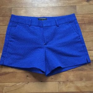 Dark royal blue shorts women